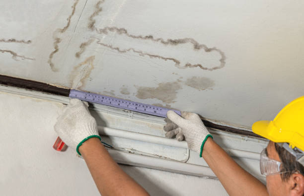 Reliable Water Damage contractor in Concord, MA by Water Damage Irwin